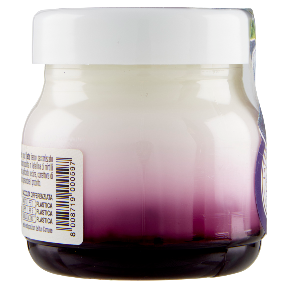 AlpiYò Yogurt di Valtellina Intero con confettura extra di Mirtillo 125 g