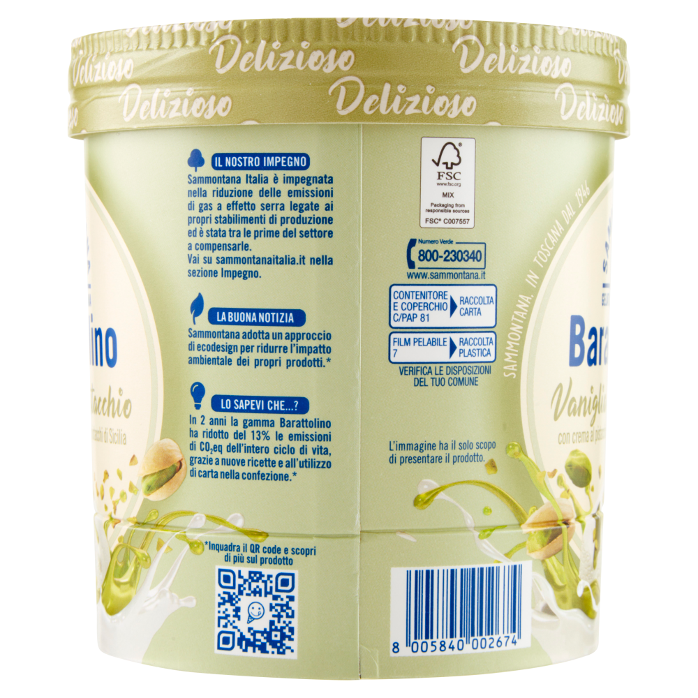 Sammontana Barattolino Delizioso Vaniglia e Pistacchio 500 g