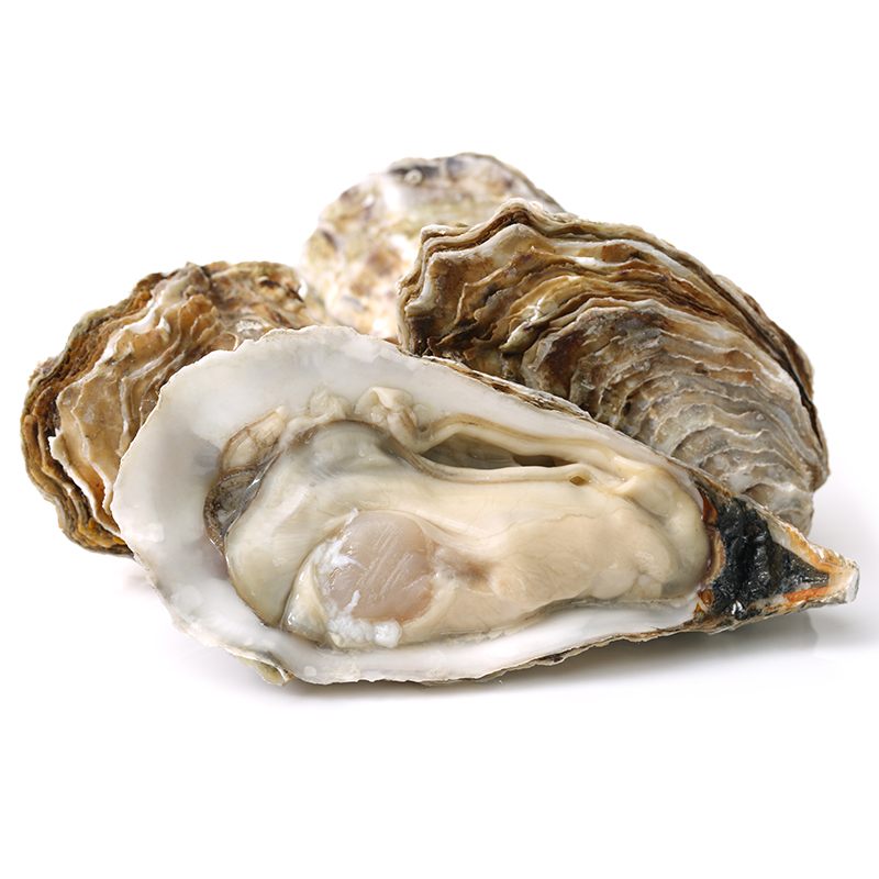 Filiera Qualit&agrave; Carrefour Ostriche Concave