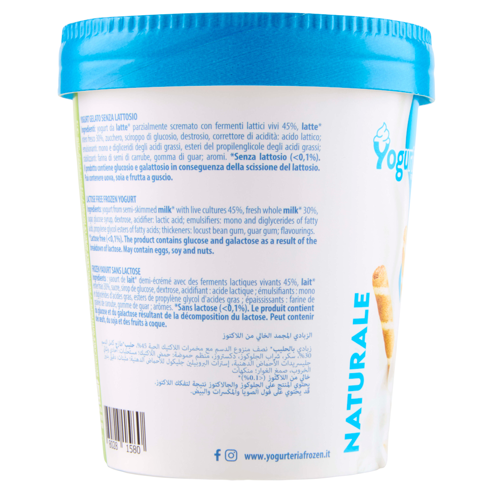 Yogurteria Frozen Yogurt Naturale 250 g