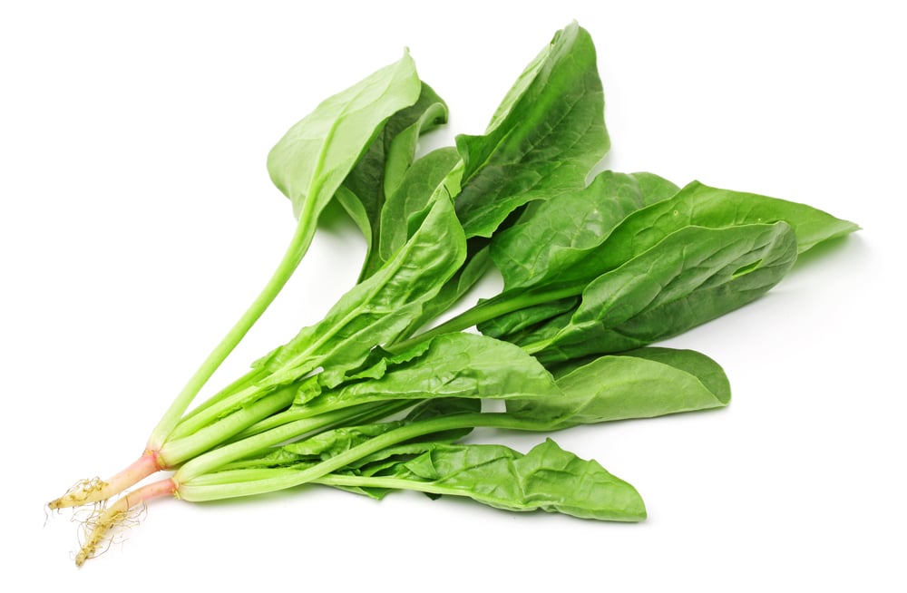 Insalata cicorino a mazzetti sfuso