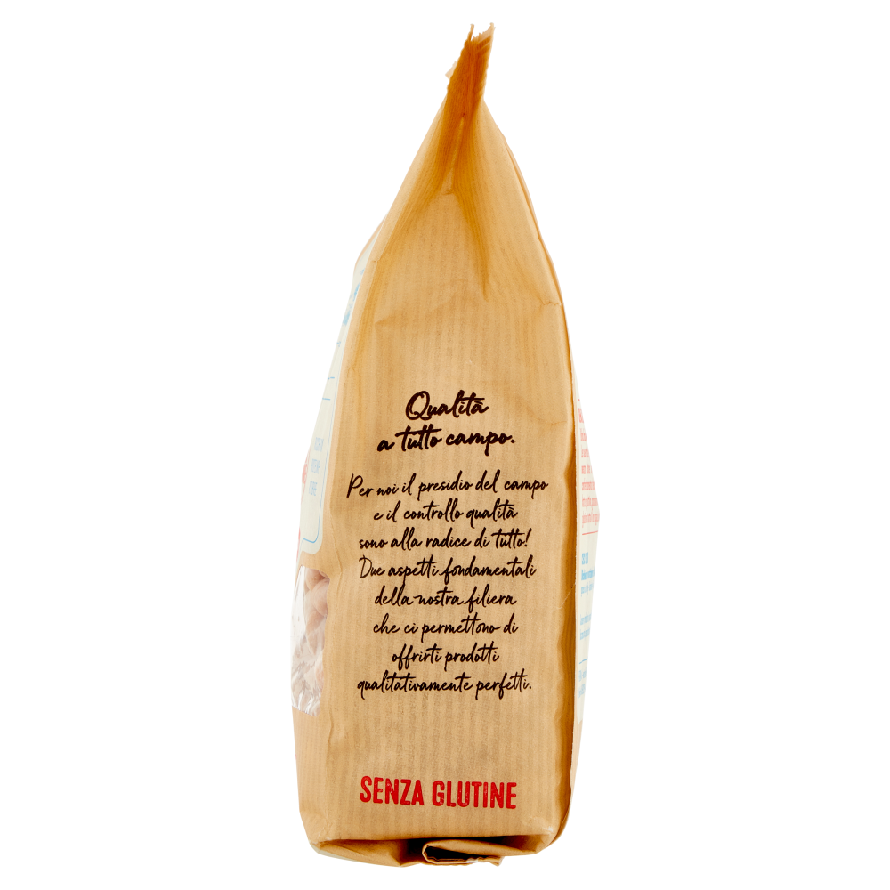 Dalla Buona Terra pedon Senza Glutine Ceci 350 g