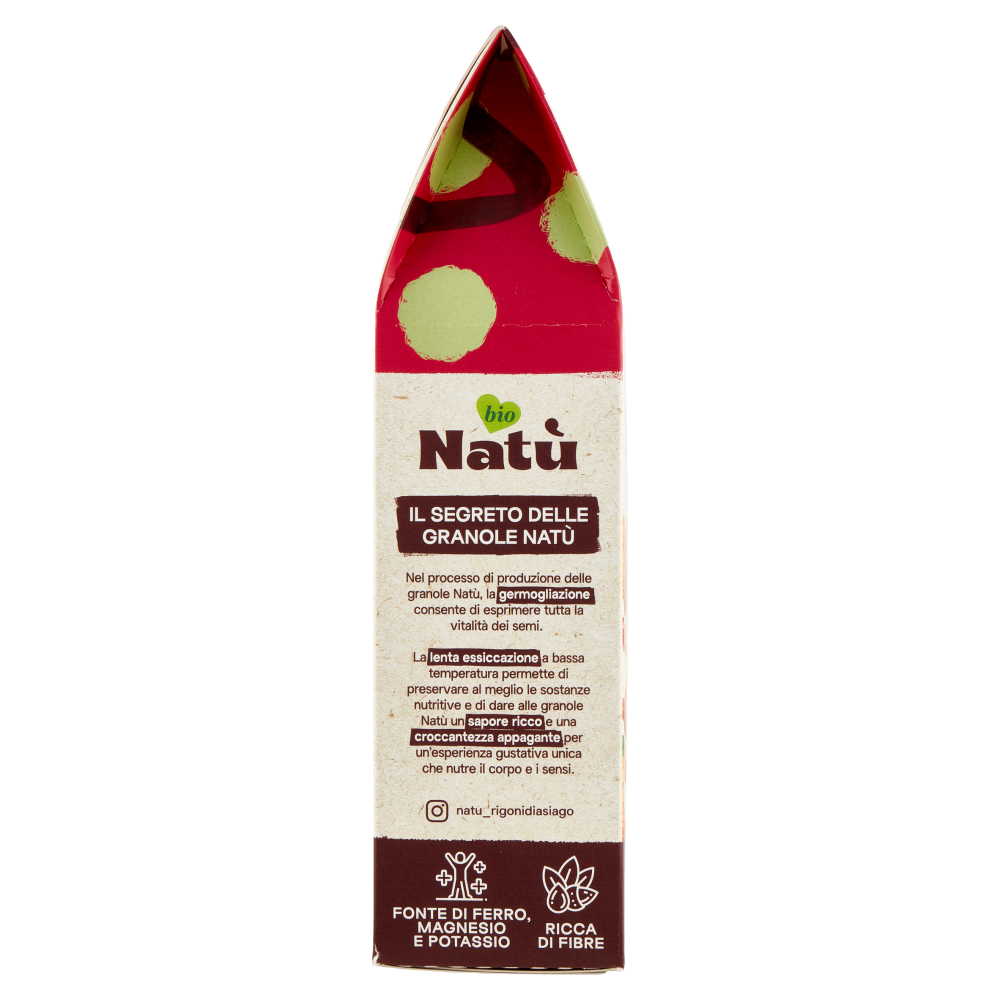 Rigoni di Asiago Natù Fonte di Proteine Vegetali Granola Mandorle e Mirtilli Rossi bio 250 g