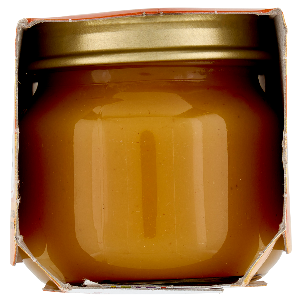 Plasmon Omogeneizzato Mela Albicocca 2 x 80 g