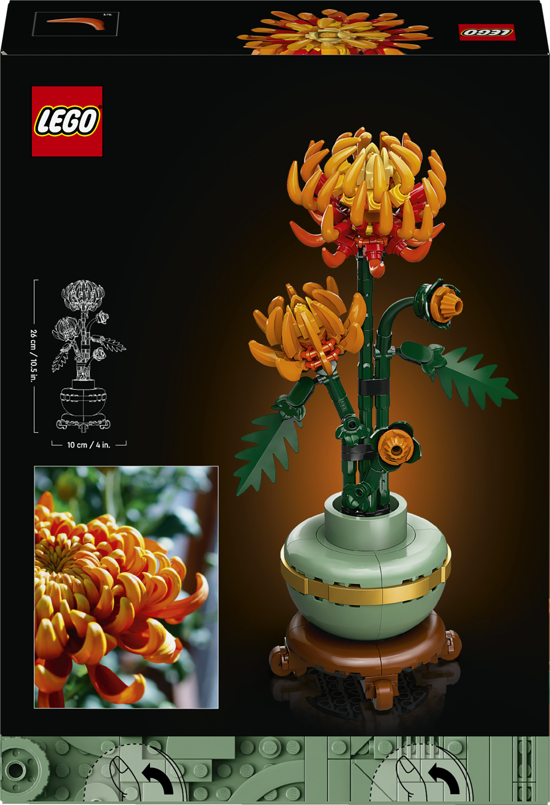 LEGO Botanicals 10368 Crisantemo, Fiore Finto da Costruire per Adulti, Idea Regalo Creativa di Compleanno per Donna e Uomo