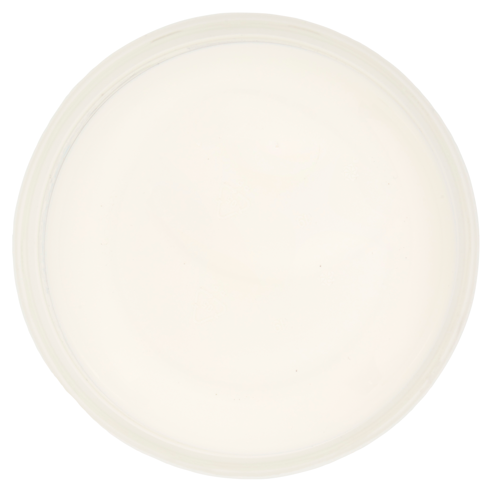 Brescia Mascarpone di Centrale 500 g