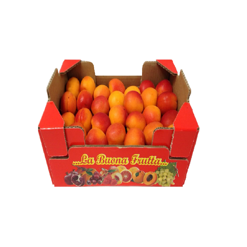 Albicocche cassetta 2 Kg