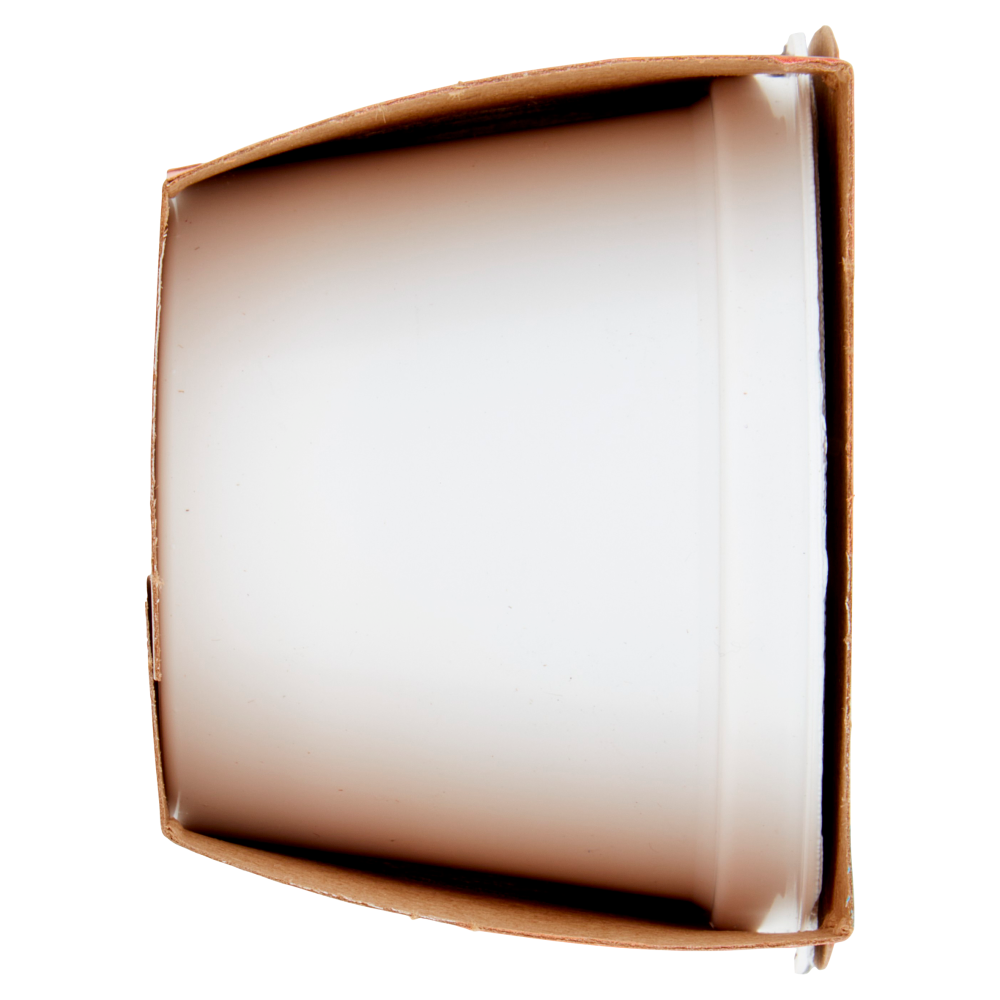 Plasmon lo Yogurtino Biscotto 2 x 100 g