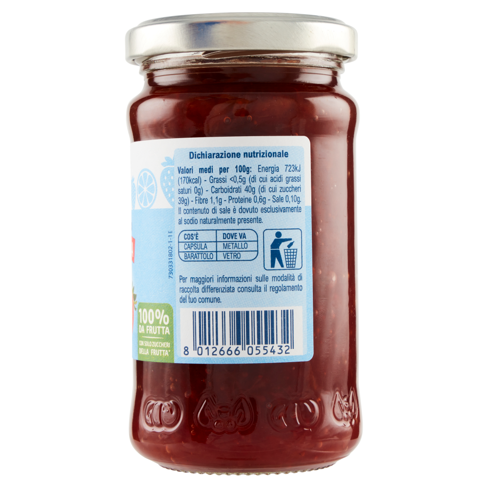 Carrefour Classic Composta di Fragola 240 g