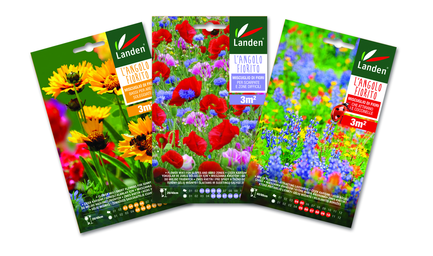 Landen Buste assortite semi di fiori l'angolo fiorito semi di fiori