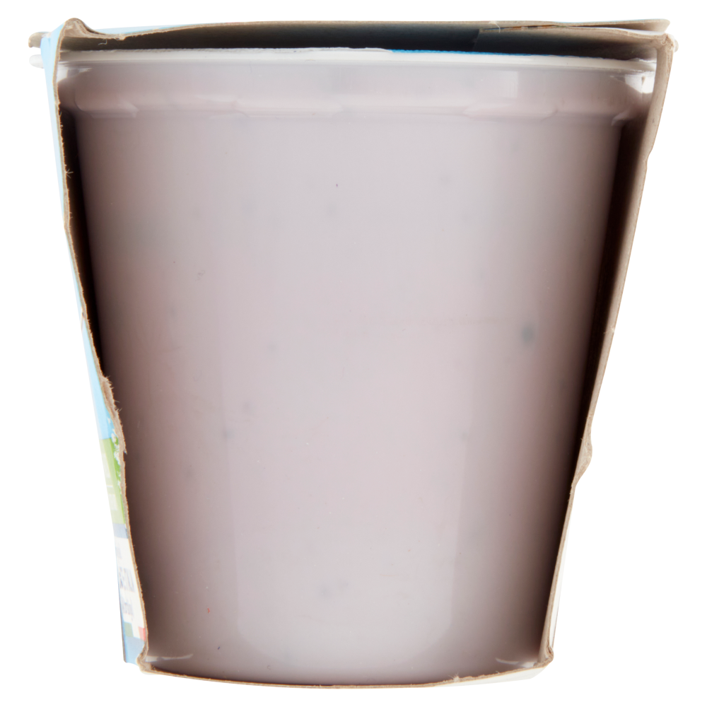 Carrefour Classic Yogurt Magro Mirtillo 2 x 125 g