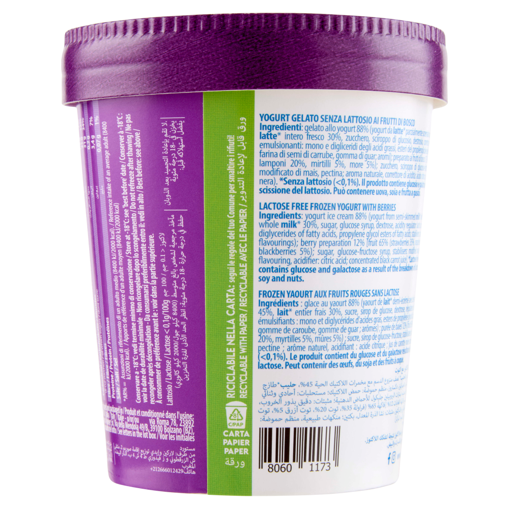 Yogurteria Frozen Yogurt Frutti di Bosco 250 g