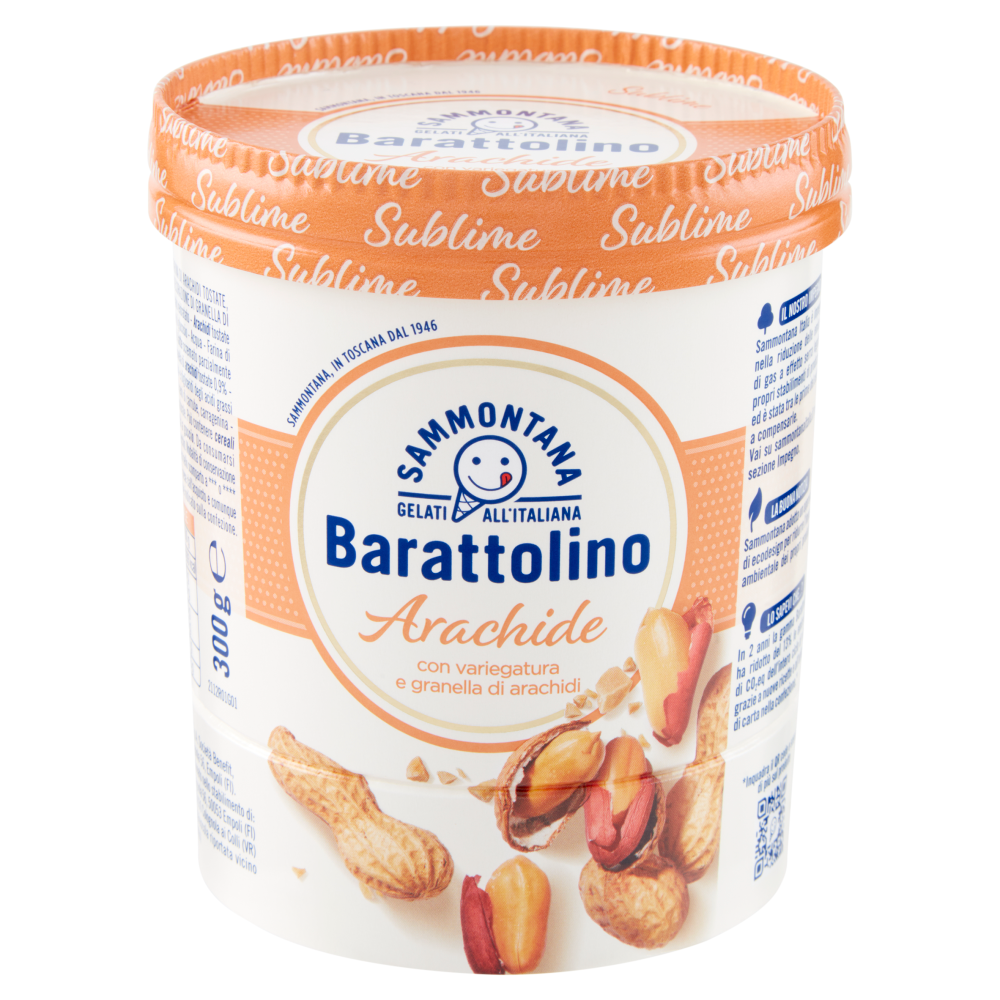 Sammontana Barattolino Sublime Arachide 300 g