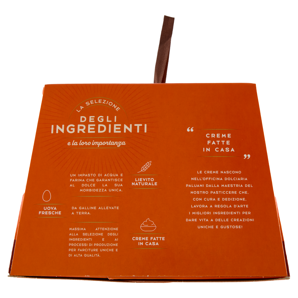 Paluani il Tronco di Natale Ricoperto di Cioccolato con Crema alla Nocciola e Pasticcera 750 g