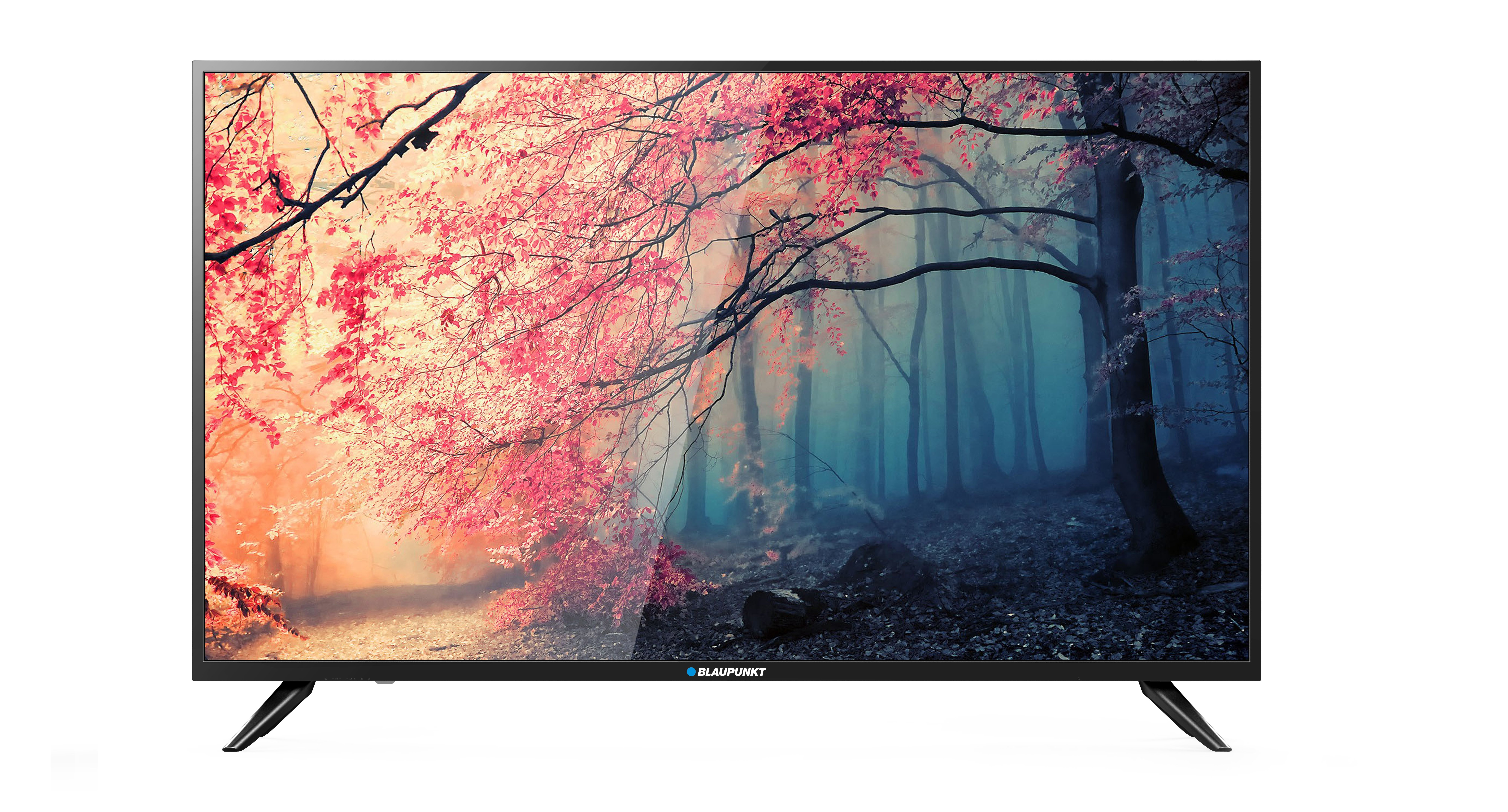 Blaupunkt BS49U3122OEB TV 124,5 cm (49") 4K Ultra HD Smart TV Wi-Fi Nero
