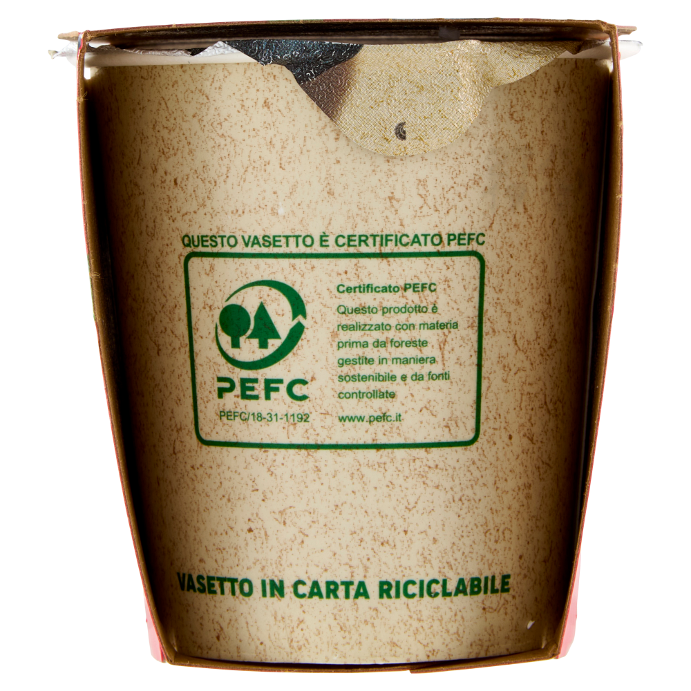 Yomo il Mirtillo nero 2 x 125 g