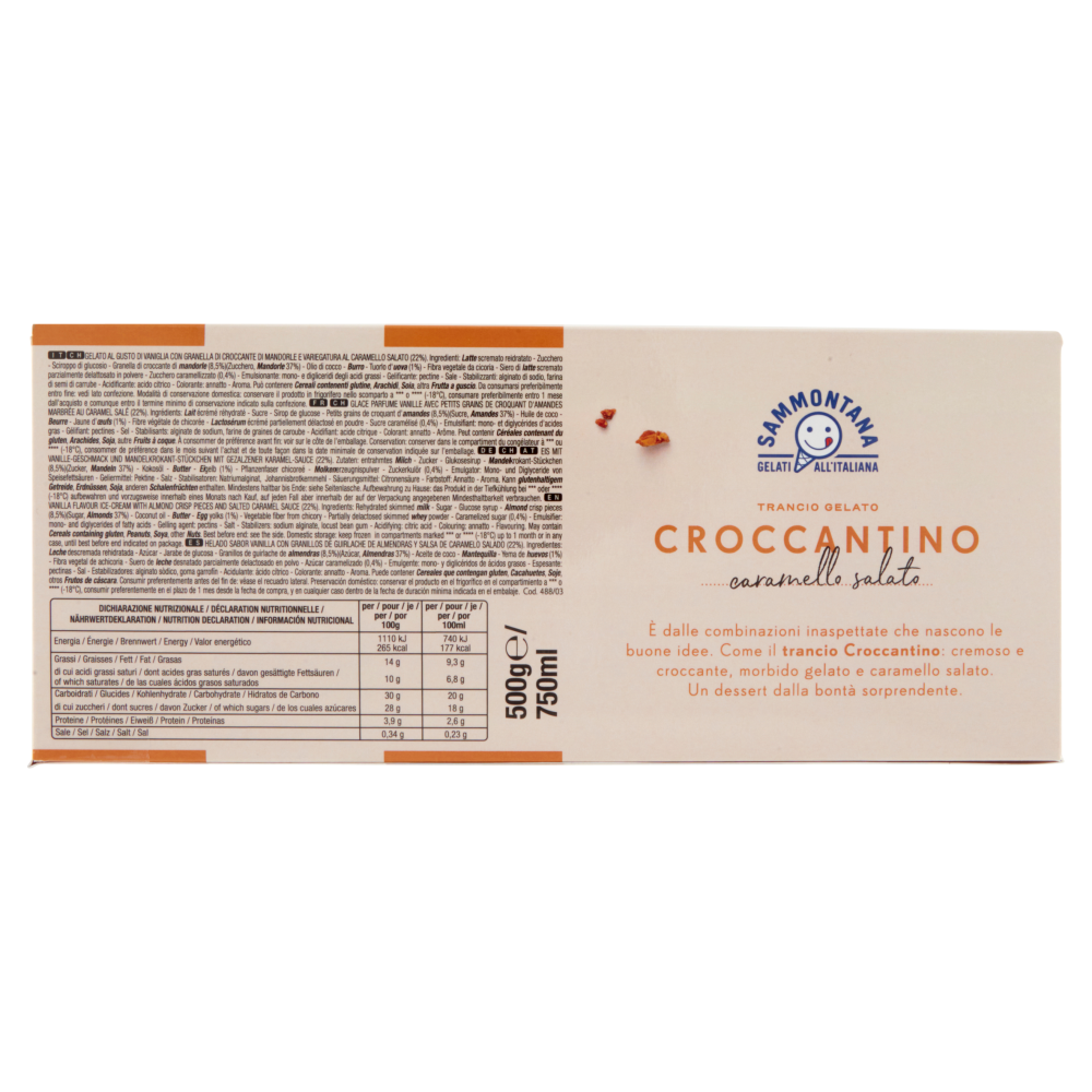 Sammontana Trancio Gelato Croccantino caramello salato 500 g