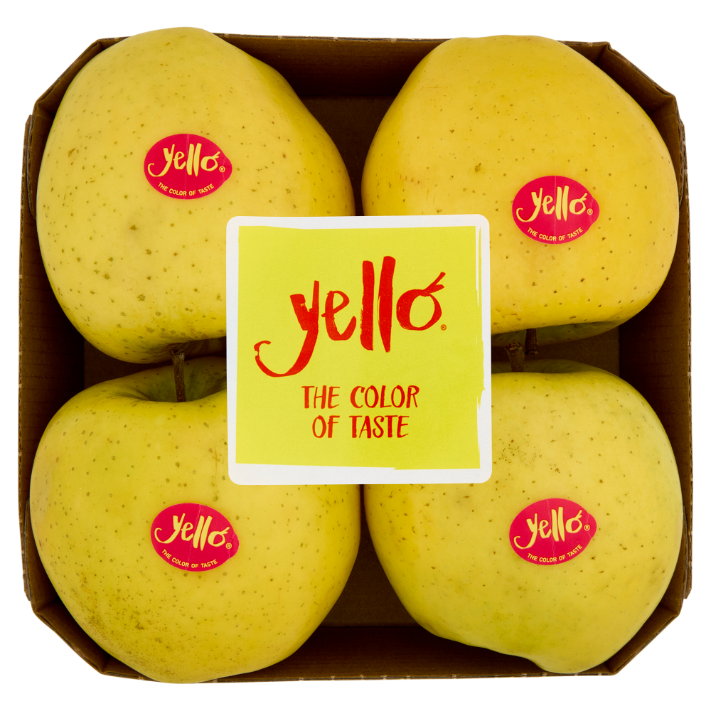 yello by Marlene Shinano Gold vassoio 4 frutti