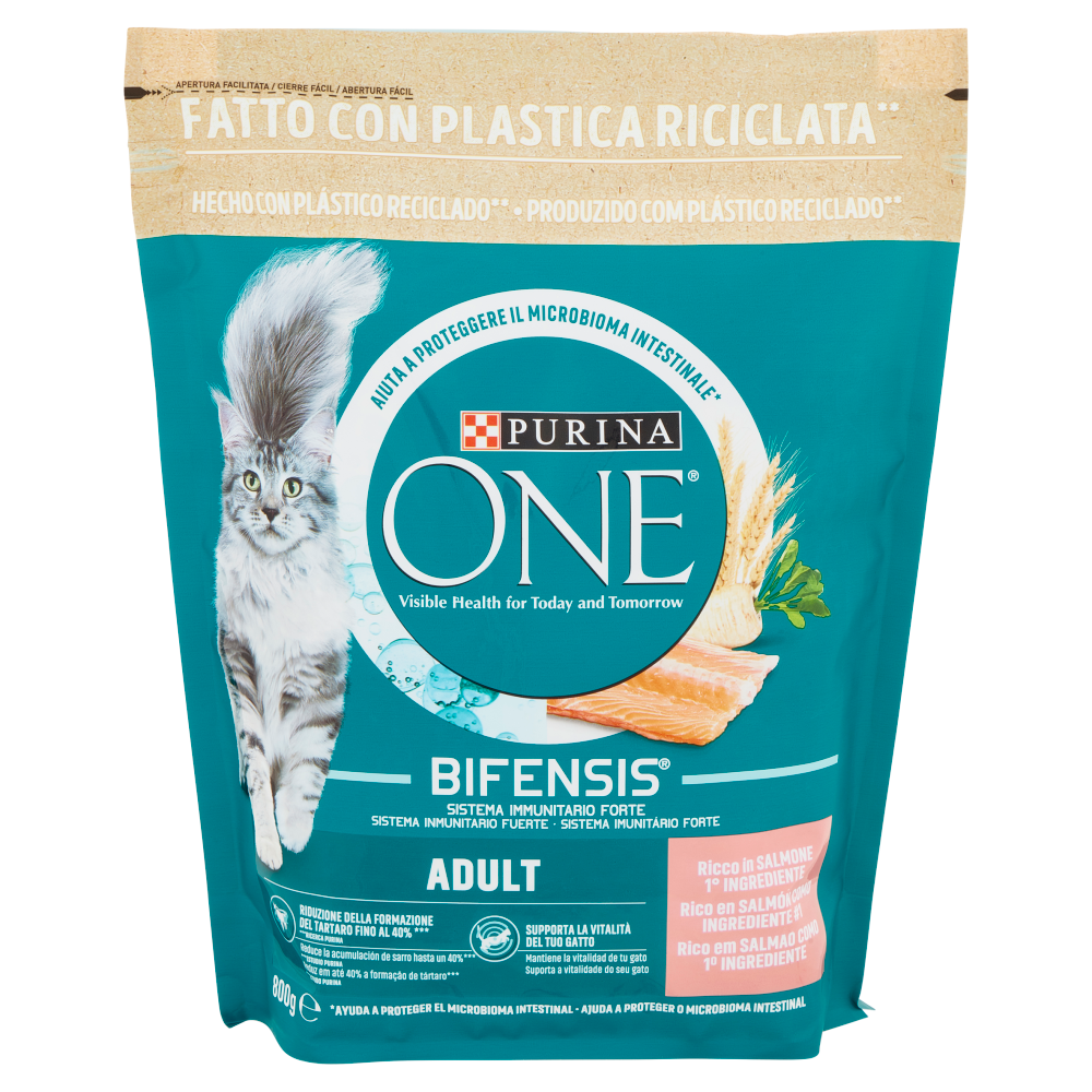 PURINA ONE Adult Ricco in Salmone 800 g