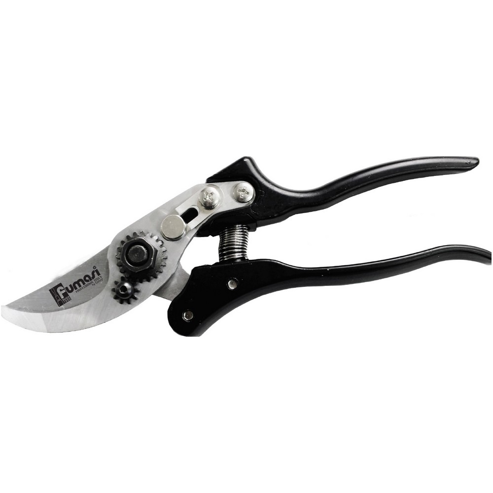 Fumasi Forbici profession garden SK5