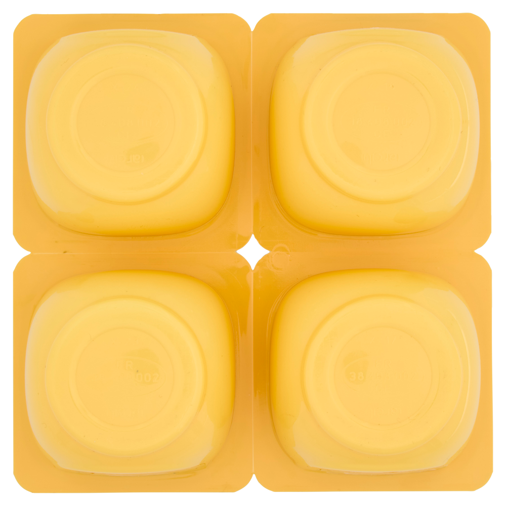 DANETTE  budino gusto vaniglia, fresco dessert, Senza Conservanti, Senza Glutine, 4x125g