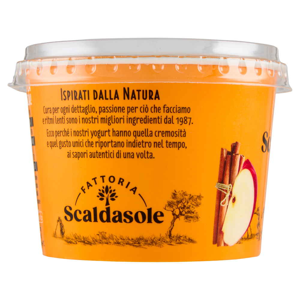 Fattoria Scaldasole Mela & Cannella yogurt biologico 250 g