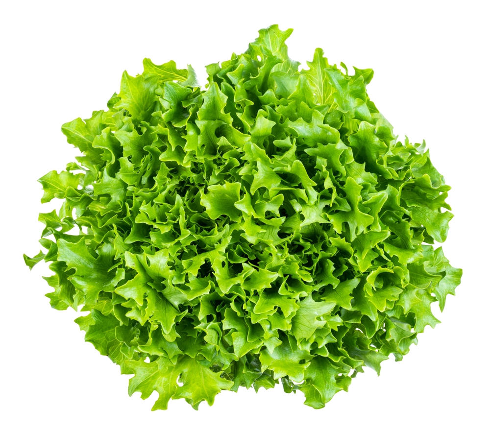 Insalata Gentile 200 g