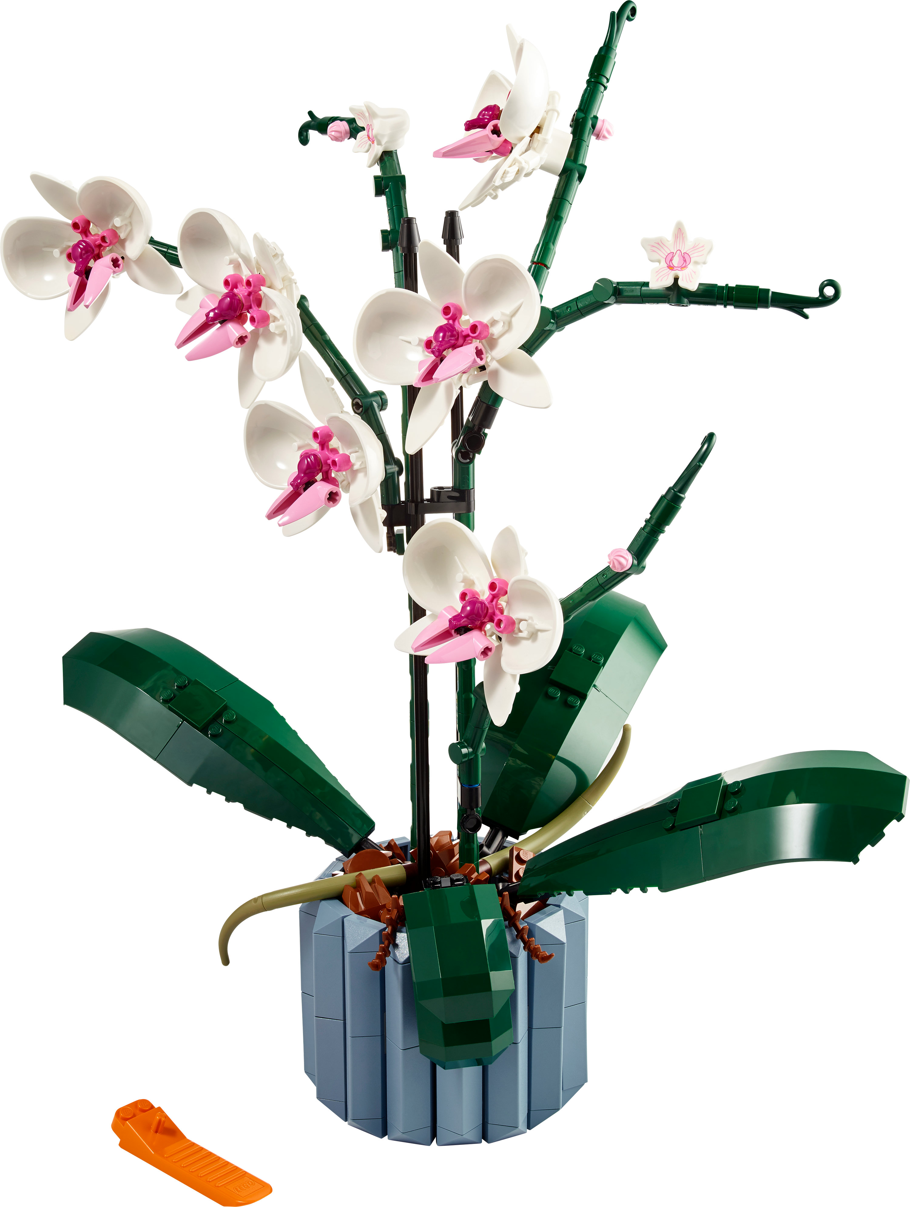 LEGO Botanicals Orchidea