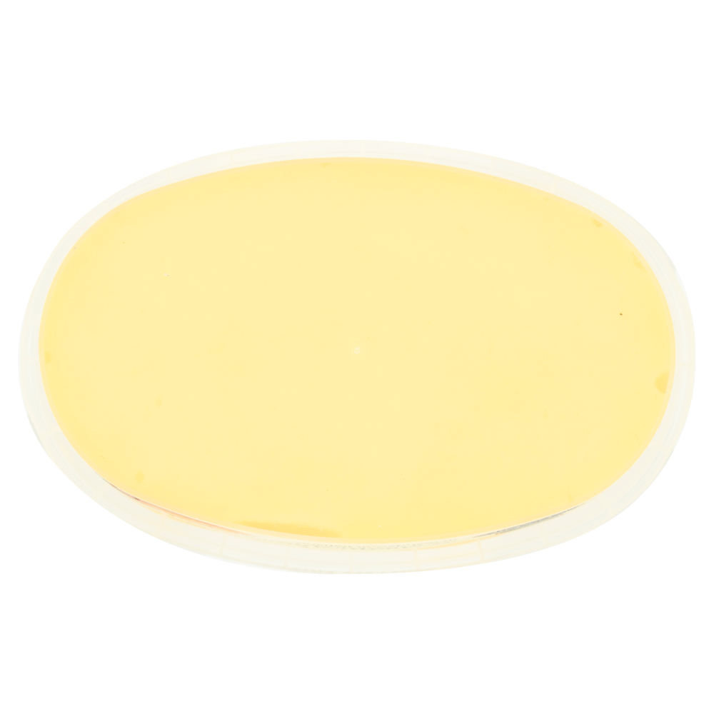 Terre d'Italia Sorbetto di Sicilia al mandarino 350 g