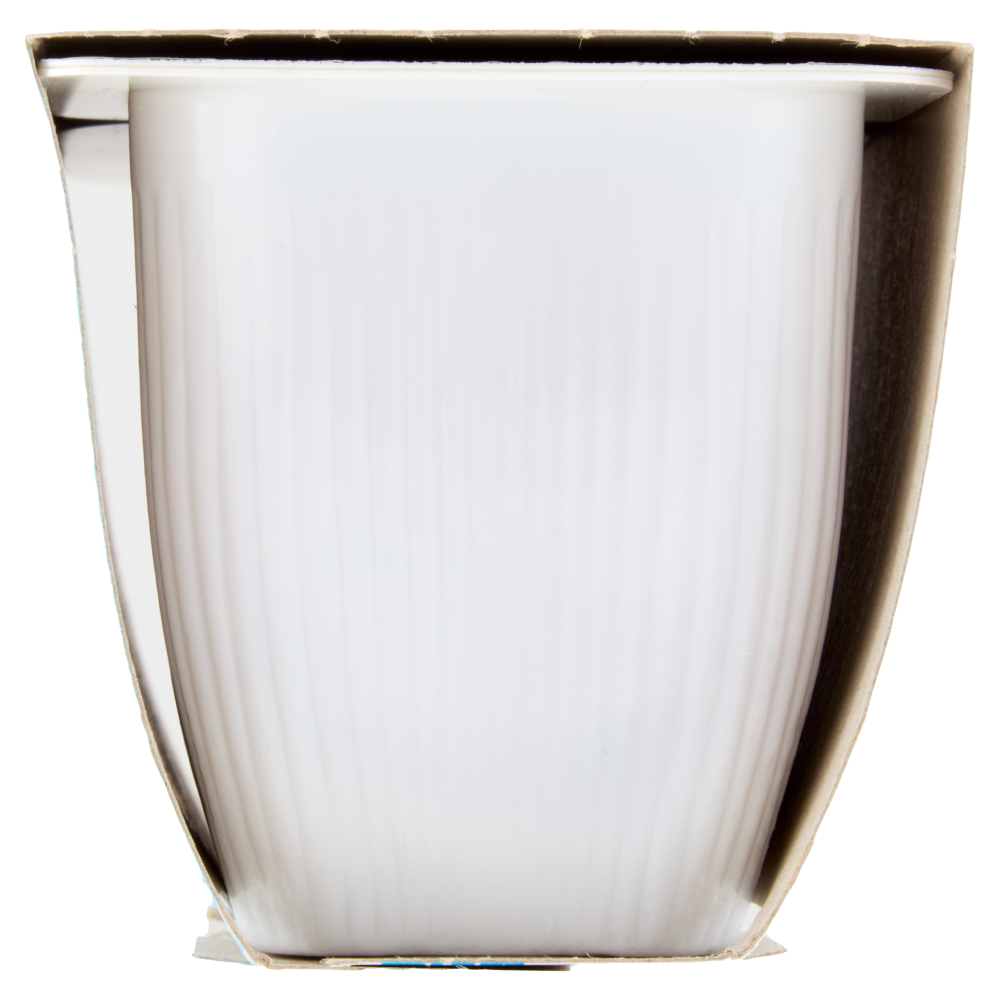 Valsoia Bontà e Salute il Budino Caramello 2 x 115 g