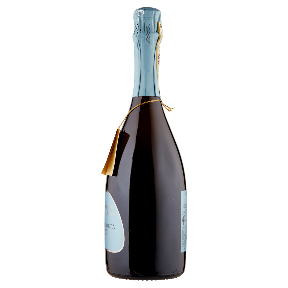 Terre d'Italia filari del Lago Franciacorta Brut Satèn Millesimato DOCG 75 cl