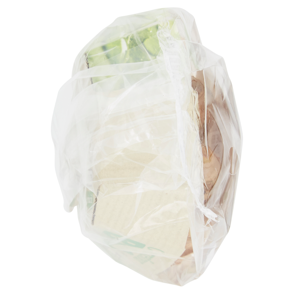 Carrefour Bio Zenzero Biologico 0,150 kg