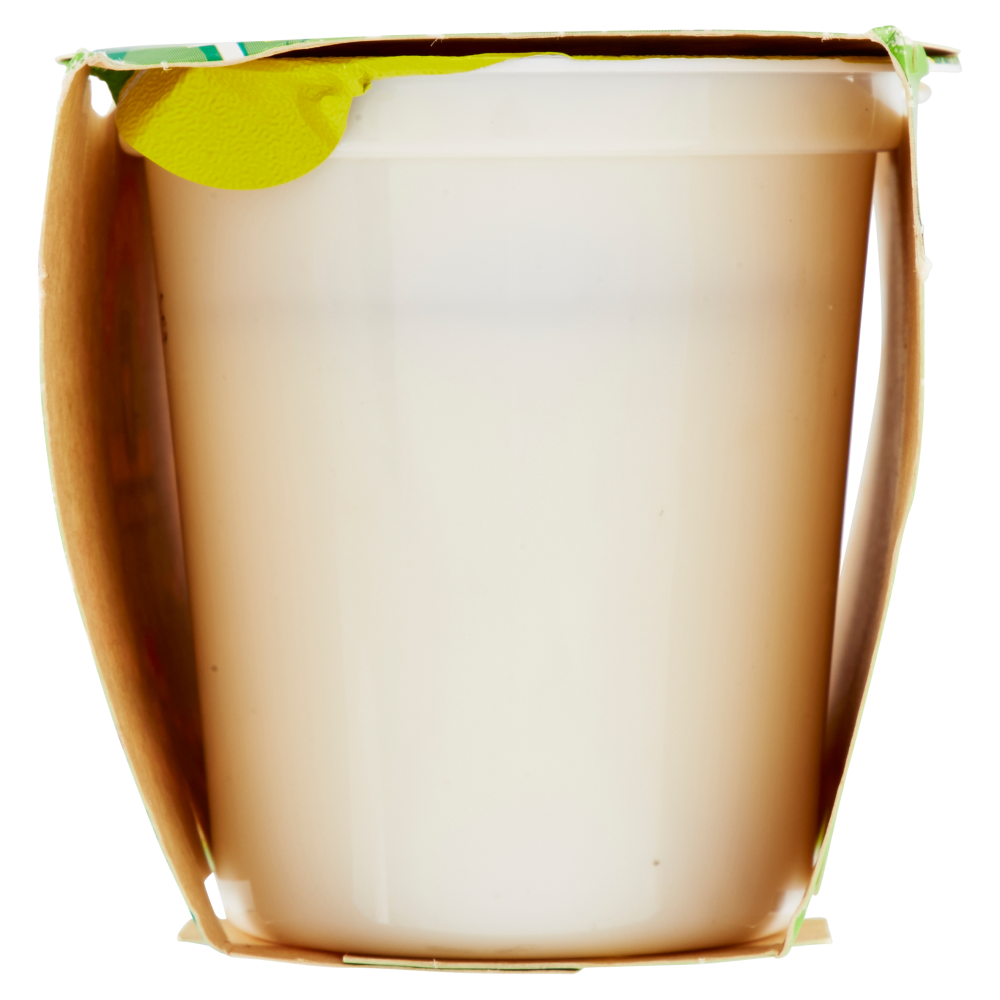 Centrale del Latte di Torino Tapporosso Yogurt Magro Ananas in pezzi 2 x 125 g