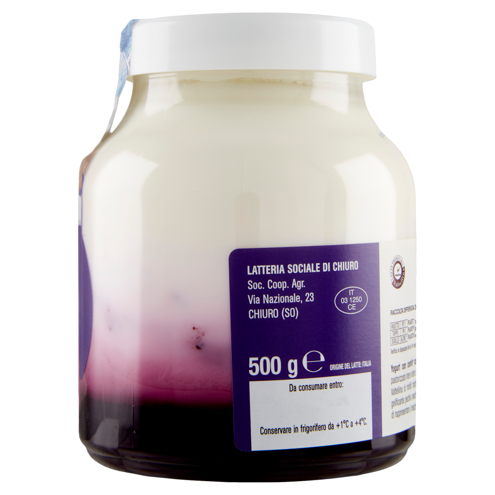 AlpiY&ograve; Yogurt di Valtellina Intero con confettura extra di Mirtillo 500 g