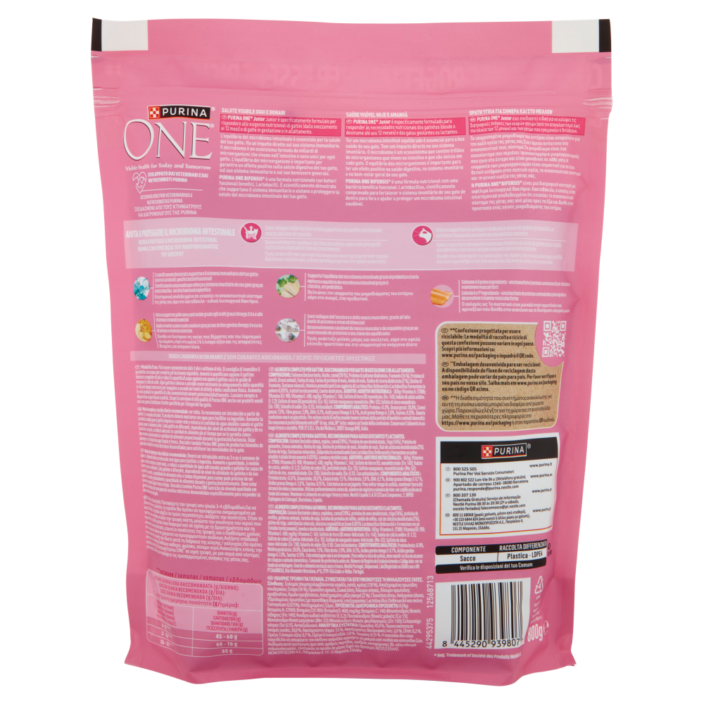 PURINA ONE Bifensis Junior Salmone 800g