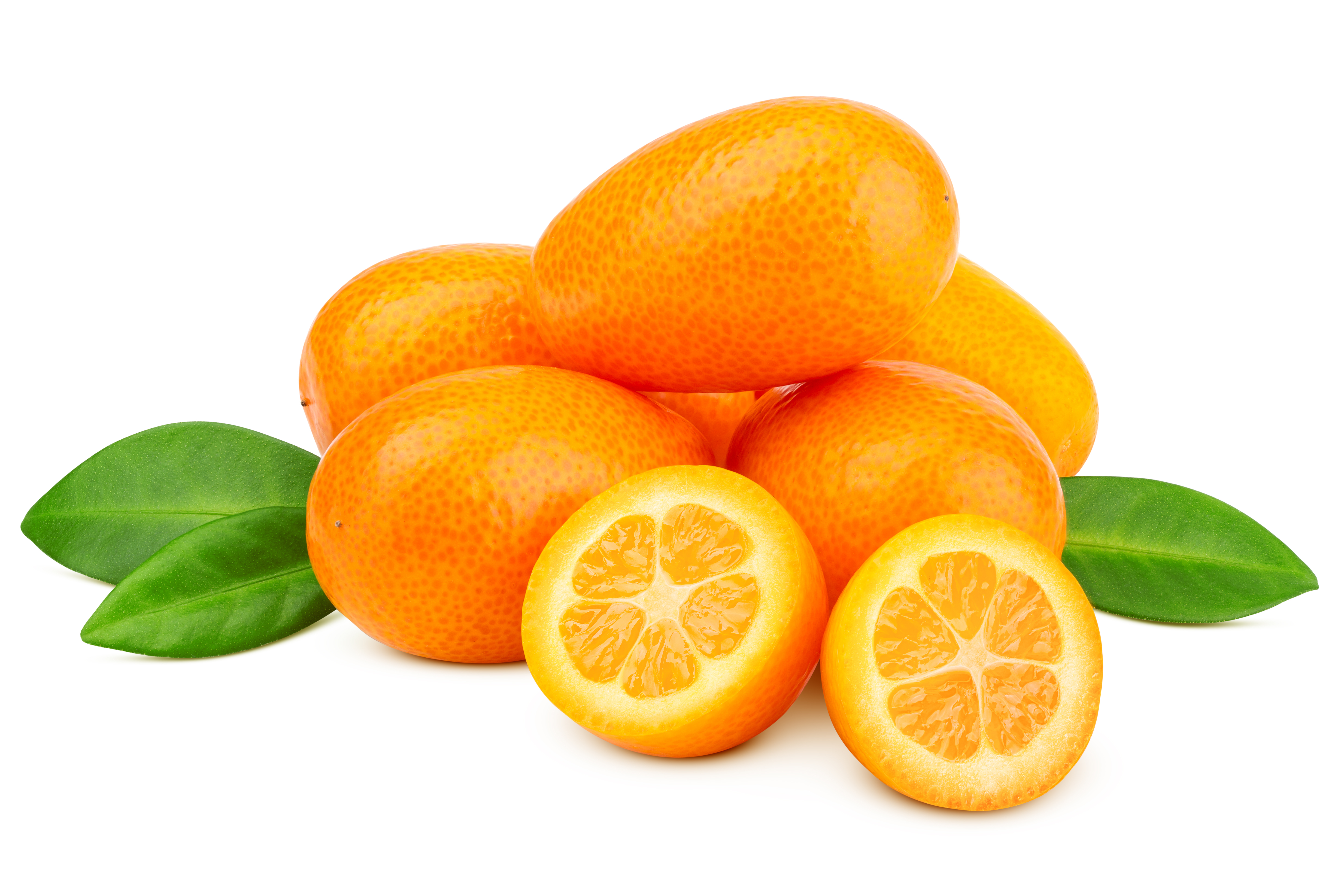 Kumquat