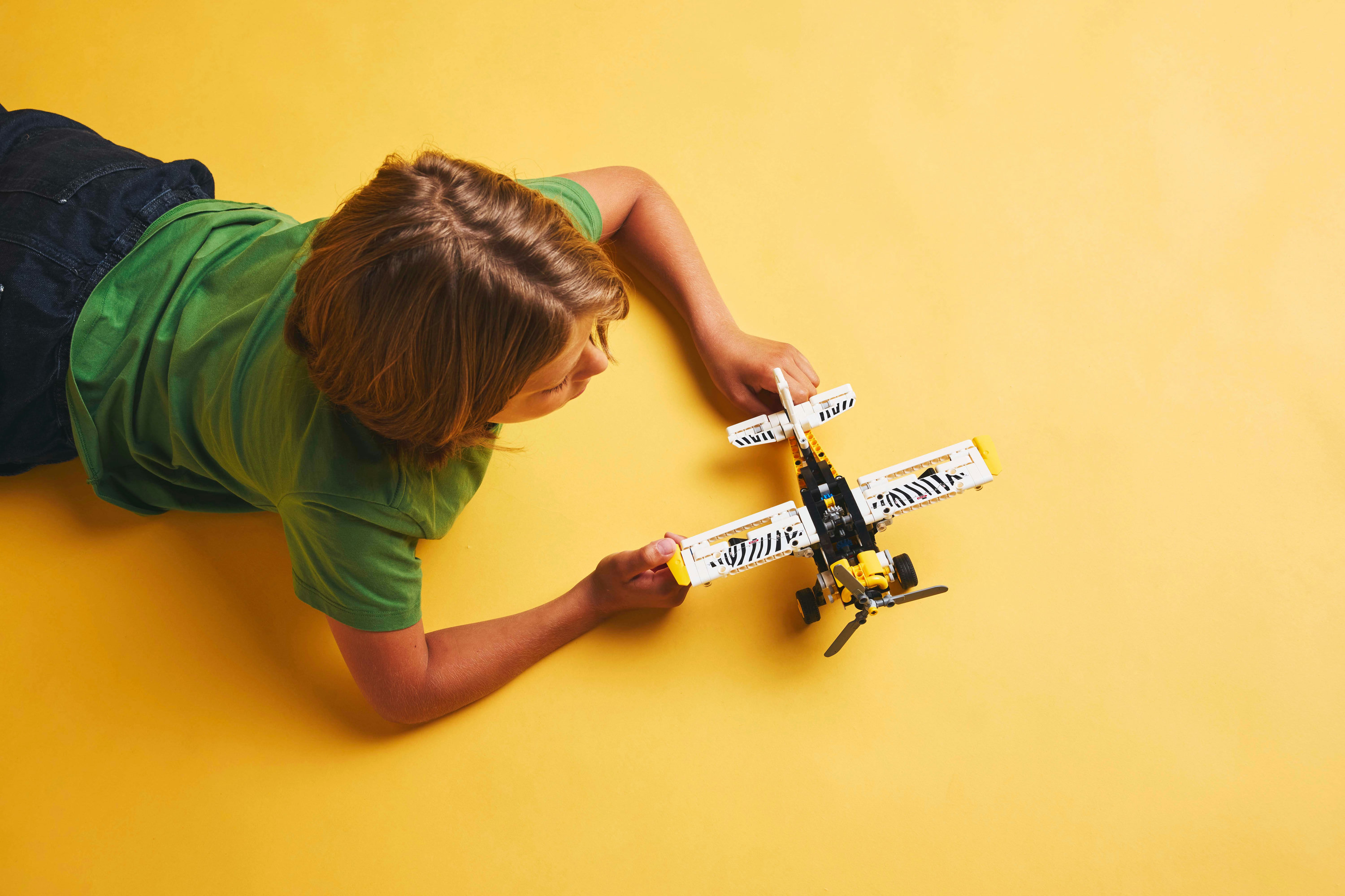 LEGO Technic Aereo Bush