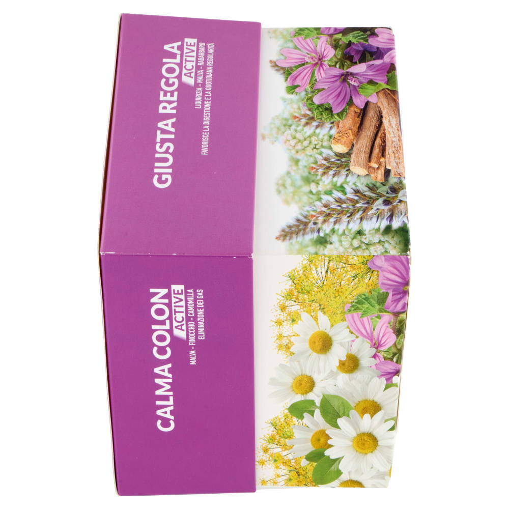 L'Angelica Tisane Funzionali Active 60 filtri 110 g