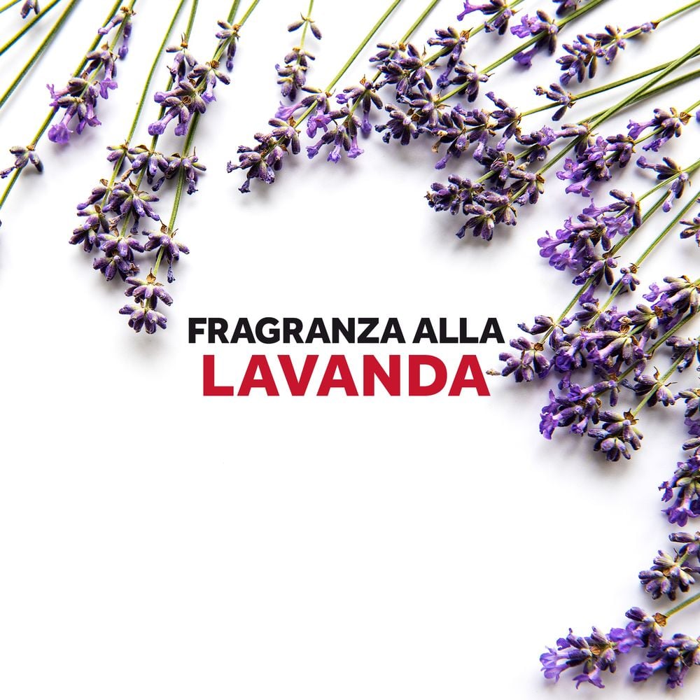 Raid Anti Tarme Gel Vestiti, Per Capi Piacevolmente Profumati, Fragranza alla Lavanda, 6 Pezzi