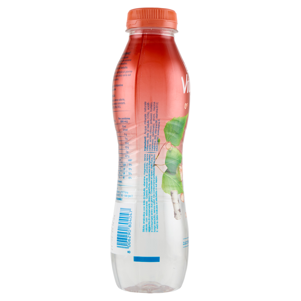 Vitasnella Le Linfe Drenante con Linfa di Betulla 500 mL