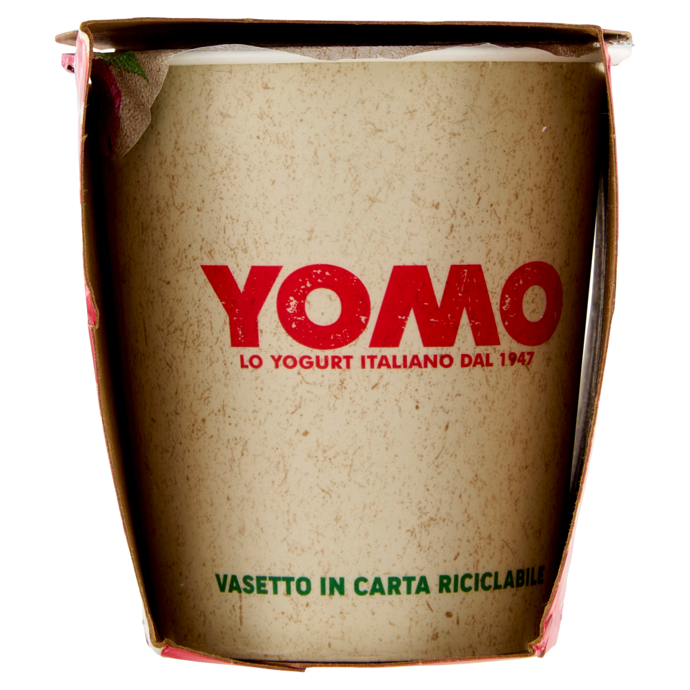 Yomo il Lampone e Melograno 2 x 125 g