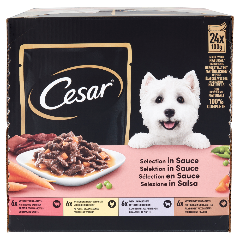 Cesar Selezione in salsa 24 x 100 g