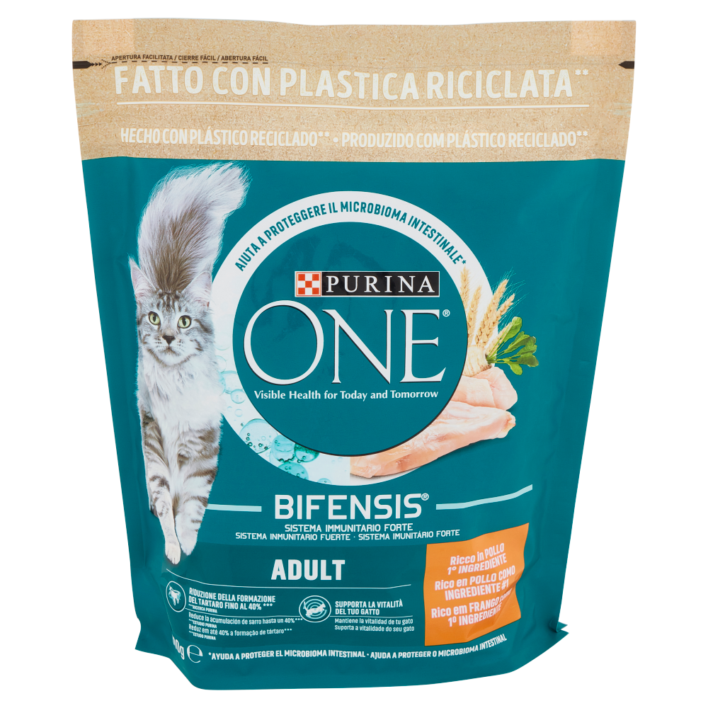 PURINA ONE Adult Ricco in Pollo 800 g