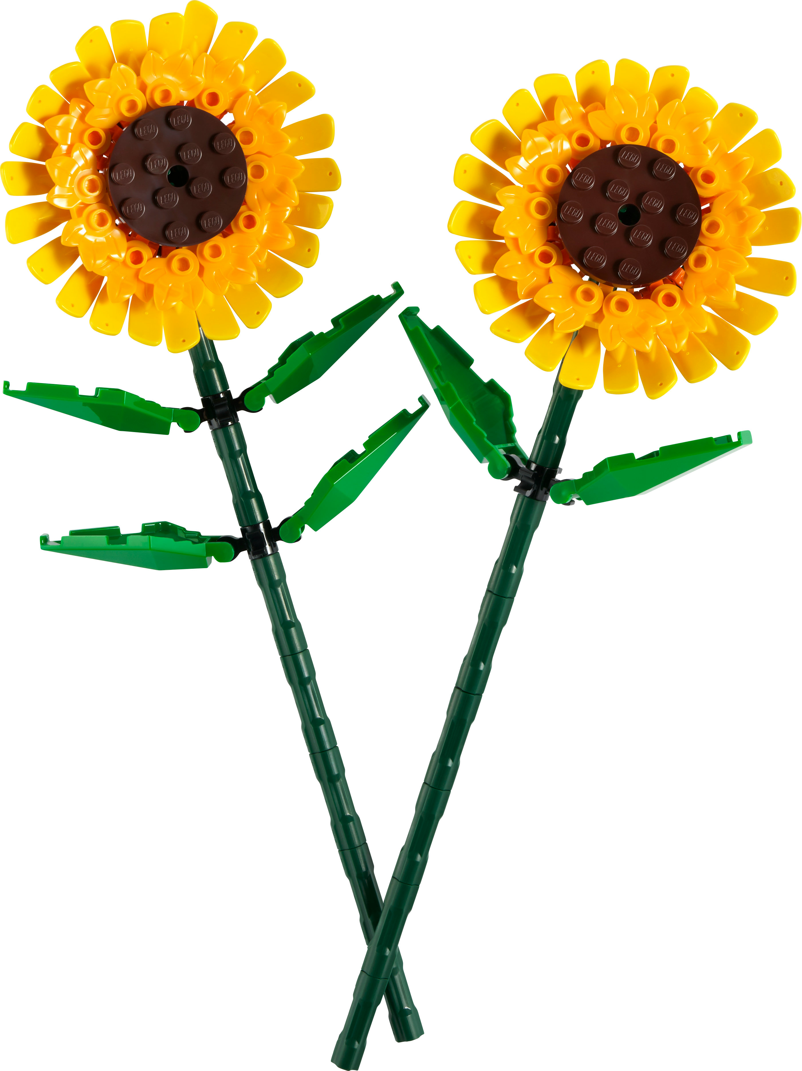 LEGO Botanicals Girasoli