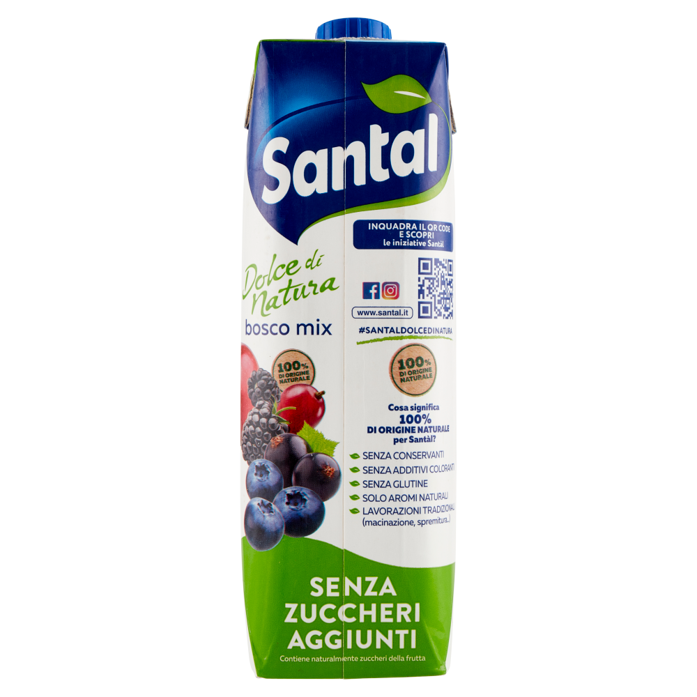 Santàl Dolce di Natura bosco mix Senza Zuccheri Aggiunti 1000 ml