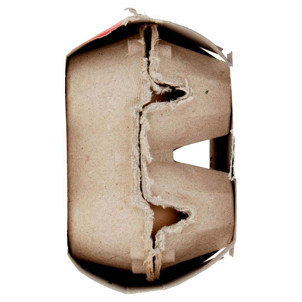 Tedaldi Gran Uovo Italiano da Galline Allevate Senza Antibiotici* 6 Uova 330 g