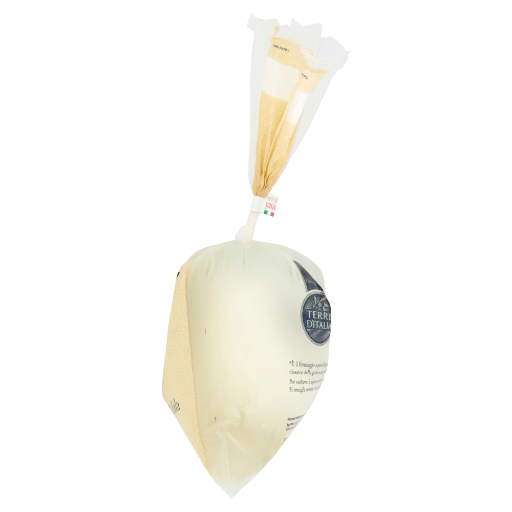 Terre d'Italia Mozzarella di Bufala Campana DOP 800 g