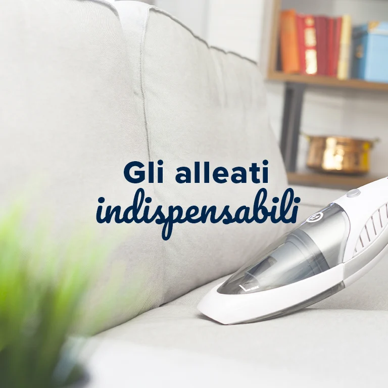 Elettrodomestici pulizia della casa in vendita online | Carrefour