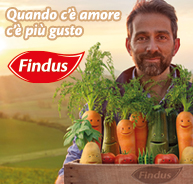 Findus - Verdure e minestroni